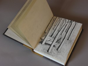 Open Drawing book - charcoal pencil drawing